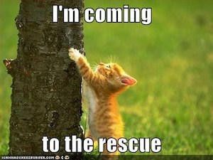 rescue